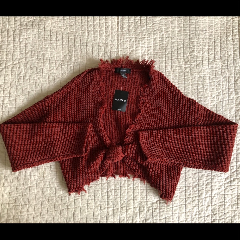BRAND NEW FOREVER 21 Cropped sweater